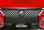 एमजी हेक्टर grille